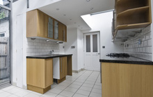 Clonfeacle kitchen extension leads